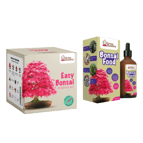 Gnojivo s probioticama za Bonsai, 100 ml